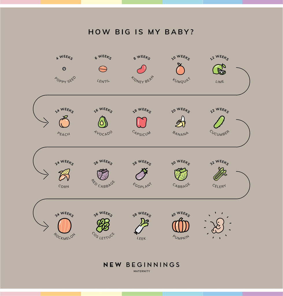 Baby Fruit Size By Week: How big is my baby?